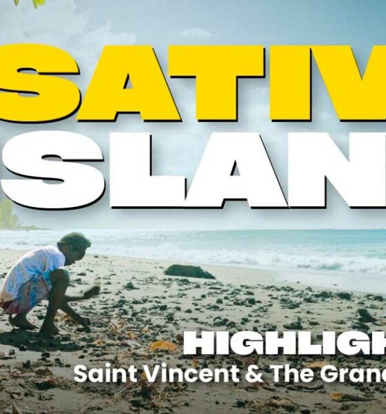 Las variedades sativa de San Vicente y las Granadinas